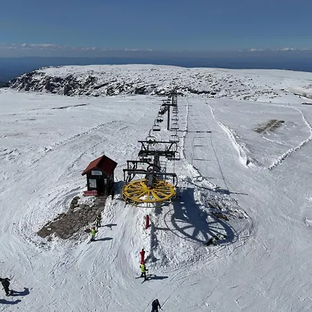 Estrela Da Montanha *