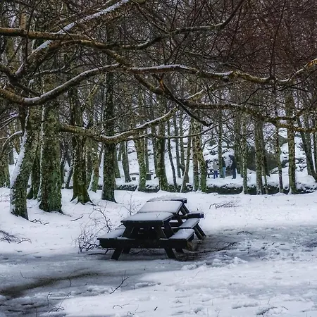 Estrela Da Montanha *