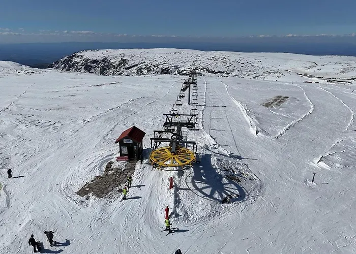 Estrela Da Montanha *