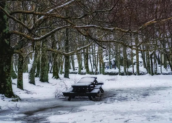 Estrela Da Montanha *