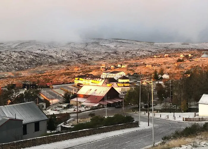Estrela Da Montanha *