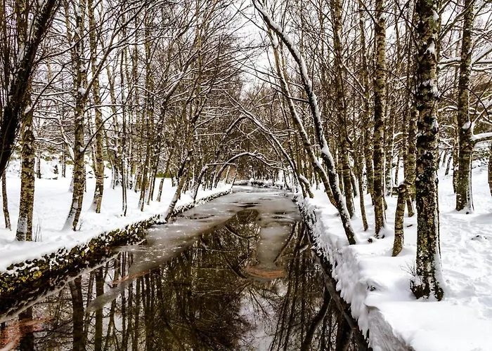 Appartement Estrela Da Montanha *