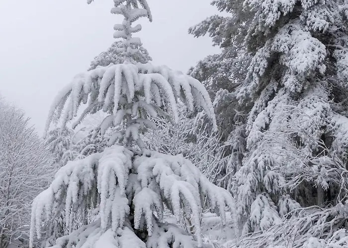 Appartement Estrela Da Montanha Penhas da Saúde